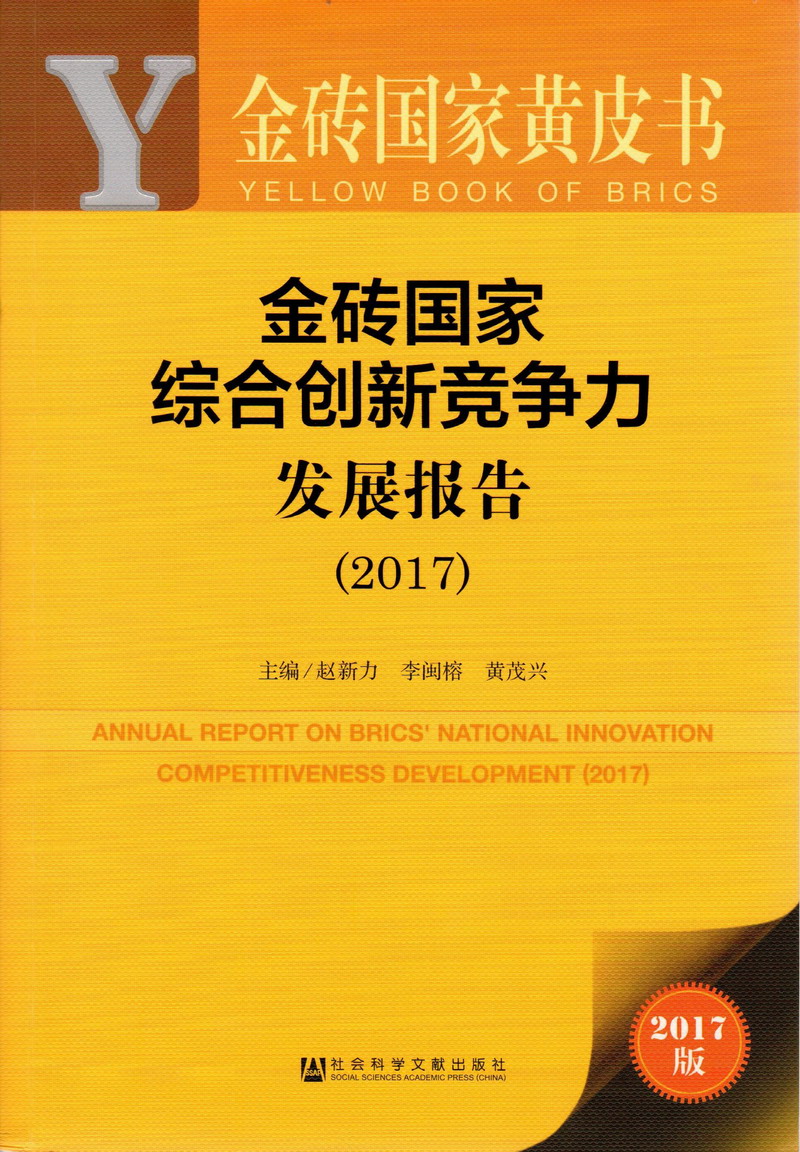 鸡巴操逼下载金砖国家综合创新竞争力发展报告（2017）